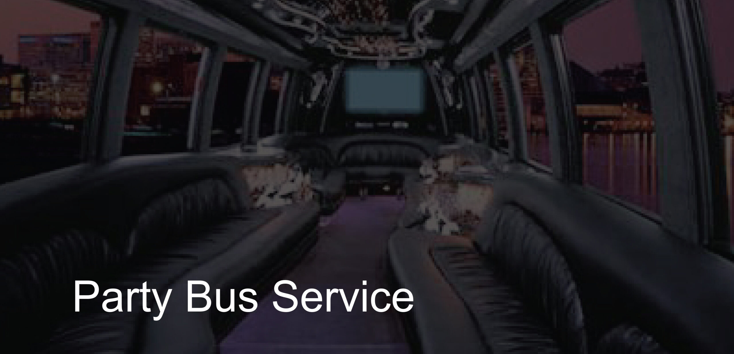 Party Bus Service
